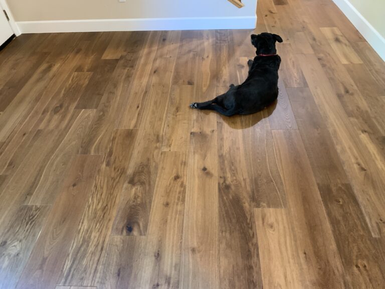 Engineered wood floor with black dog sitting on it